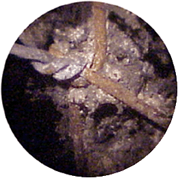 Corroded Wall Ties